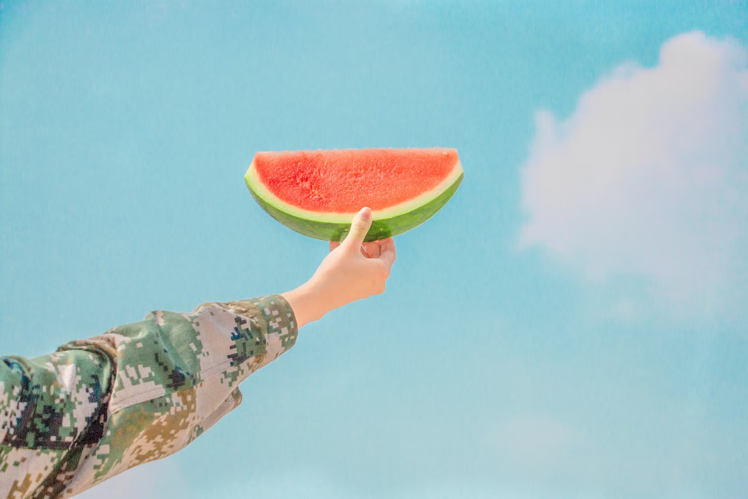 Sezóna melónov je tu – ako správne vybrať ten zrelý?