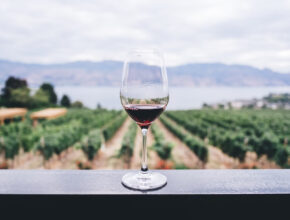 Víno, nápoj bohov – ako čo najdlhšie udržať jeho kvalitu