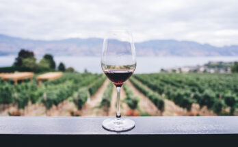 Víno, nápoj bohov – ako čo najdlhšie udržať jeho kvalitu